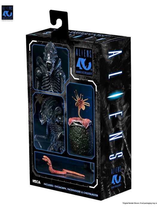 Buy Ultimate Warrior Xenomorph (Black) 40th Anniversary - 7" Scale Action Figure - Aliens - NECA Collectibles from Costume Super Centre AU