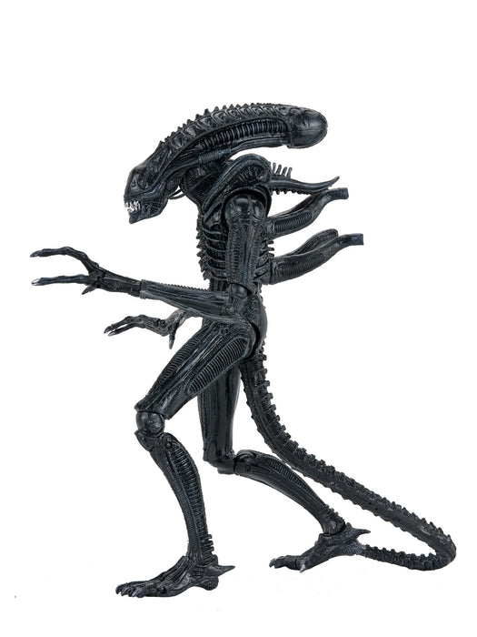 Buy Ultimate Warrior Xenomorph (Black) 40th Anniversary - 7" Scale Action Figure - Aliens - NECA Collectibles from Costume Super Centre AU
