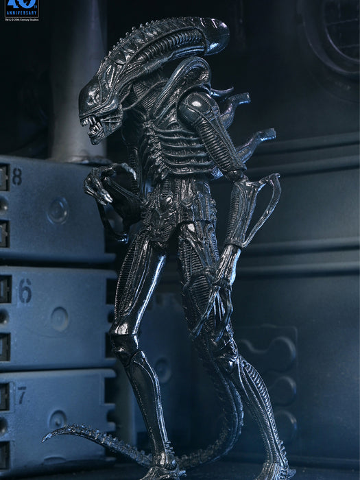 Buy Ultimate Warrior Xenomorph (Black) 40th Anniversary - 7" Scale Action Figure - Aliens - NECA Collectibles from Costume Super Centre AU