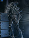 Buy Ultimate Warrior Xenomorph (Black) 40th Anniversary - 7" Scale Action Figure - Aliens - NECA Collectibles from Costume Super Centre AU