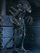 Buy Ultimate Warrior Xenomorph (Black) 40th Anniversary - 7" Scale Action Figure - Aliens - NECA Collectibles from Costume Super Centre AU