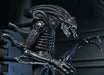 Buy Ultimate Warrior Xenomorph (Black) 40th Anniversary - 7" Scale Action Figure - Aliens - NECA Collectibles from Costume Super Centre AU