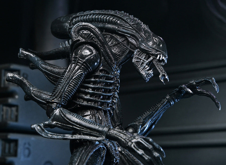 Buy Ultimate Warrior Xenomorph (Black) 40th Anniversary - 7" Scale Action Figure - Aliens - NECA Collectibles from Costume Super Centre AU
