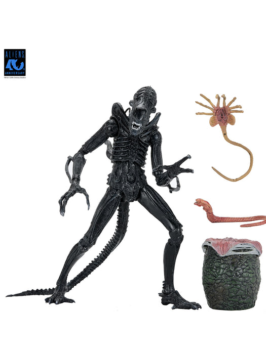 Buy Ultimate Warrior Xenomorph (Black) 40th Anniversary - 7" Scale Action Figure - Aliens - NECA Collectibles from Costume Super Centre AU