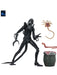 Buy Ultimate Warrior Xenomorph (Black) 40th Anniversary - 7" Scale Action Figure - Aliens - NECA Collectibles from Costume Super Centre AU