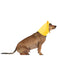 Buy Winnie the Pooh Pet Costume Hood - Disney Winnie The Pooh from Costume Super Centre AU