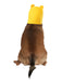 Buy Winnie the Pooh Pet Costume Hood - Disney Winnie The Pooh from Costume Super Centre AU