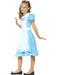 Buy Wonderland Princess Costume for Kids from Costume Super Centre AU