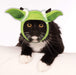 Buy Yoda Ears Pet Headband - Disney Star Wars from Costume Super Centre AU