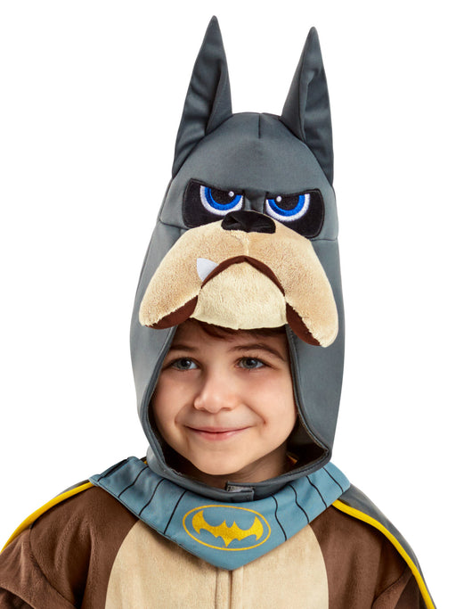 Buy Ace Deluxe Costume for Toddlers & Kids - DC League of Super-Pets from Costume Super Centre AU