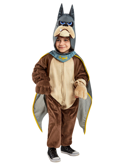 Buy Ace Deluxe Costume for Toddlers & Kids - DC League of Super-Pets from Costume Super Centre AU