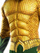 Aquaman Deluxe Adult Costume | Costume Super Centre AU