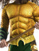Aquaman Deluxe Child Costume | Costume Super Centre AU