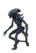 Buy Alien vs Predator 7" Scale Action Figures – Arachnoid Alien (Movie Deco) - NECA Collectibles from Costume Super Centre AU