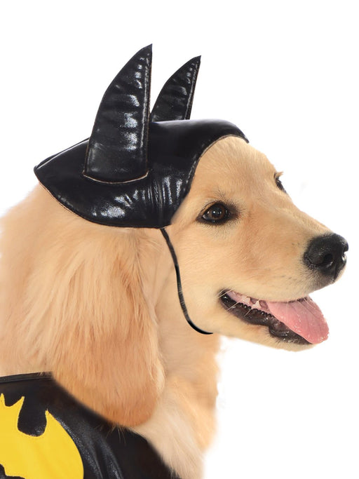 Buy Batgirl Pet Costume - Warner Bros DC Comics from Costume Super Centre AU