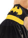 Buy Batgirl Pet Costume - Warner Bros DC Comics from Costume Super Centre AU
