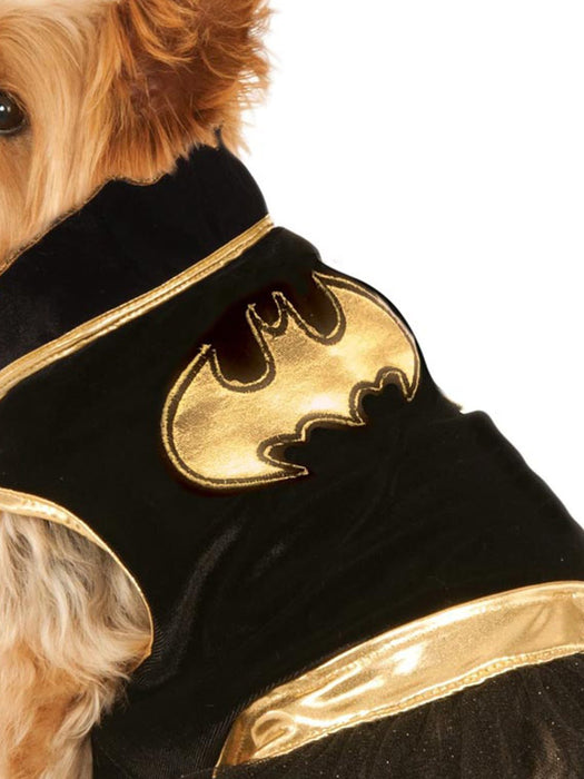 Buy Batgirl Pet Tutu Dress - Warner Bros DC Comics from Costume Super Centre AU