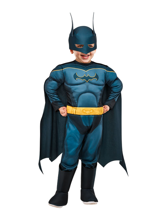 Buy Batman Costume for Toddlers & Kids - DC League of Super-Pets from Costume Super Centre AU