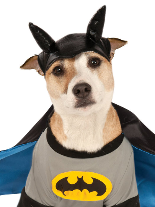 Buy Batman Deluxe Pet Costume - Warner Bros Batman: Brave and Bold from Costume Super Centre AU