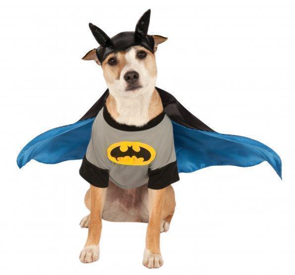 Buy Batman Brave and Bold Deluxe Pet Costume from Costume Super Centre AU