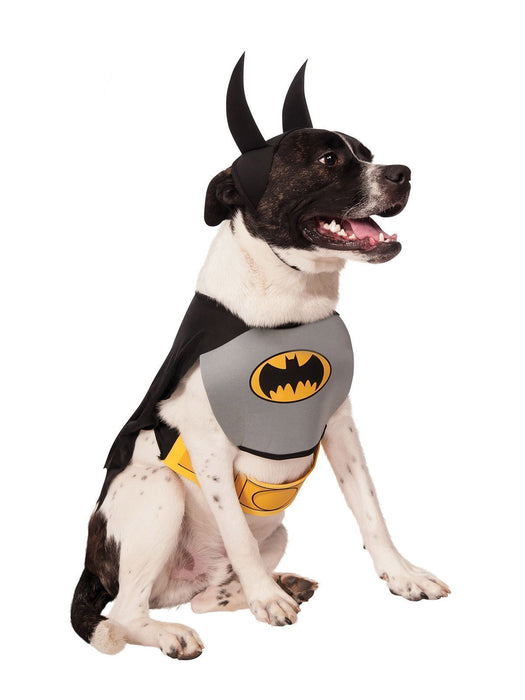 Batman Pet Costume | Costume Super Centre AU