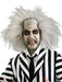 Buy Beetlejuice Collector's Edition Costume for Adults - Warner Bros Beetlejuice from Costume Super Centre AU