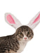 Buy Bunny Ears Pet Headband Accessory from Costume Super Centre AU