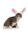 Buy Bunny Ears Pet Headband Accessory from Costume Super Centre AU