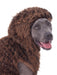 Buy Chewbacca Big Dogs Pet Costume - Disney Star Wars from Costume Super Centre AU