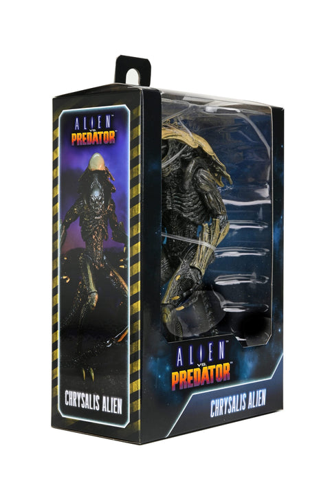 Buy Alien vs Predator 7" Scale Action Figures – Chrysalis Alien (Movie Deco) - NECA Collectibles from Costume Super Centre AU