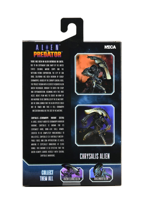 Buy Alien vs Predator 7" Scale Action Figures – Chrysalis Alien (Movie Deco) - NECA Collectibles from Costume Super Centre AU