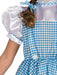 Buy Dorothy Costume for Kids - Warner Bros The Wizard of Oz from Costume Super Centre AU