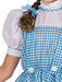 Buy Dorothy Deluxe Costume for Kids - Warner Bros The Wizard of Oz from Costume Super Centre AU