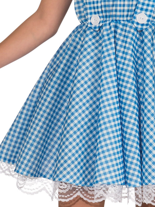 Buy Dorothy Deluxe Costume for Kids - Warner Bros The Wizard of Oz from Costume Super Centre AU