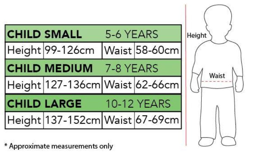 Buy Dorothy Deluxe Costume for Kids & Tweens - Warner Bros The Wizard of Oz from Costume Super Centre AU