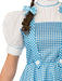 Buy Dorothy Deluxe Costume for Teens - Warner Bros The Wizard of Oz from Costume Super Centre AU