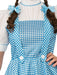 Buy Dorothy Deluxe Costume for Teens - Warner Bros The Wizard of Oz from Costume Super Centre AU