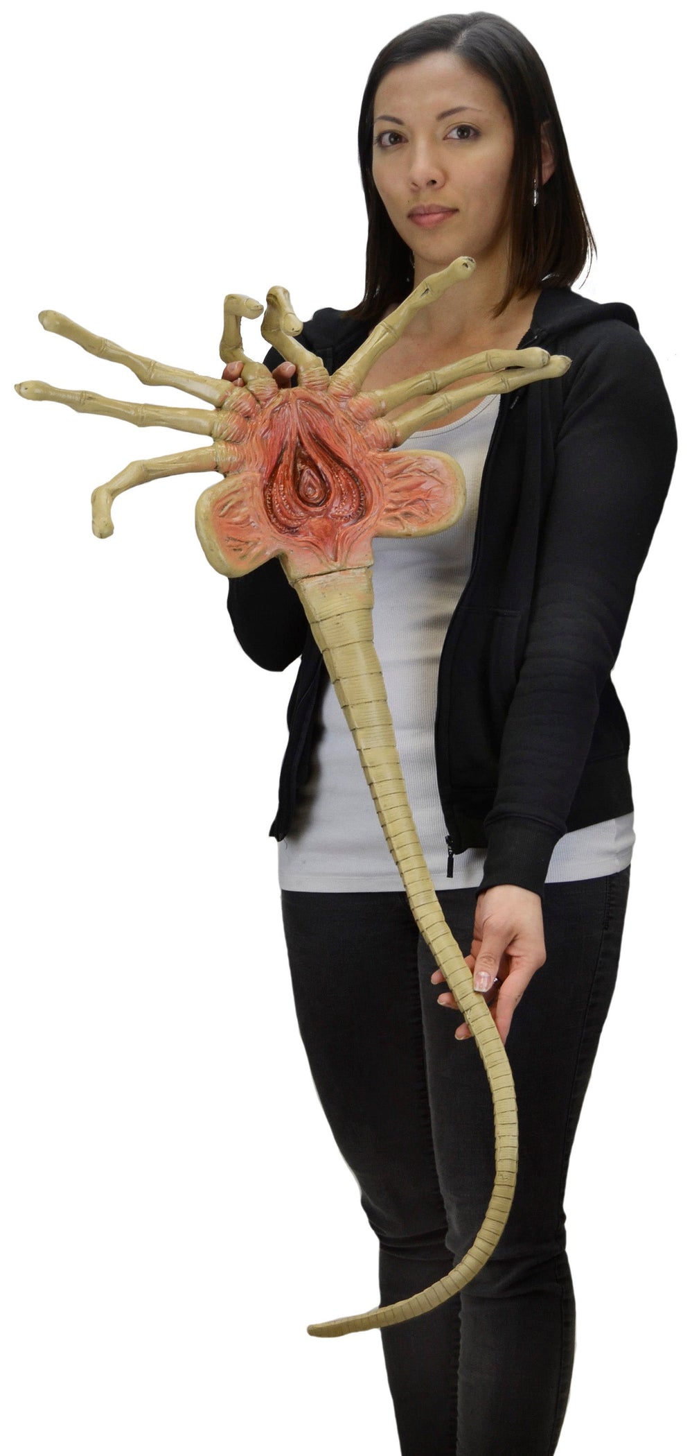Facehugger Aliens Lifesize Replica Prop 1:1 NECA Collectibles | Costume ...