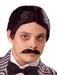 The Addams Family - Gomez Addams Adult Wig & Moustache | Costume Super Centre AU