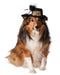 Happy New Year Pet Hat | Costume Super Centre AU