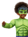 Buy Hulk Deluxe Costume for Toddlers - Marvel Spidey & His Amazing Friends from Costume Super Centre AU