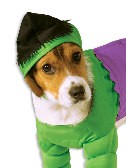 Buy Hulk Pet Costume - Marvel Avengers from Costume Super Centre AU