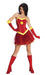 Iron Rescue Adult Tutu Costume | Costume Super Centre AU