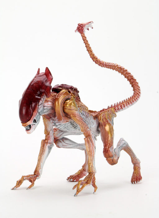 Buy Aliens - 7" Scale Action Figure - Kenner Tribute Panther Alien - NECA Collectibles from Costume Super Centre AU