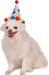 Buy Paw Print Birthday Boy Pet Hat from Costume Super Centre AU