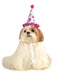 Paw Print Girl Pet Birthday Hat | Costume Super Centre AU