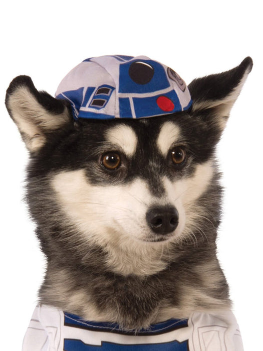 Buy R2-D2 Pet Costume - Disney Star Wars from Costume Super Centre AU