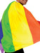 Buy Rainbow Cape for Adults from Costume Super Centre AU