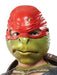 Buy Raphael Costume for Kids - Nickelodeon Teenage Mutant Ninja Turtles Rise from Costume Super Centre AU
