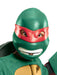 Buy Raphael Deluxe Costume for Kids - Nickelodeon Teenage Mutant Ninja Turtles from Costume Super Centre AU